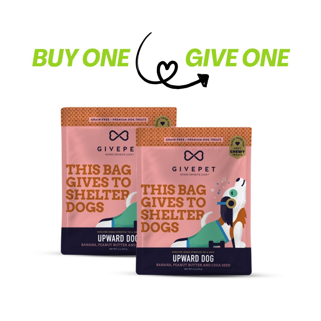Buy one give one to shelter dogs