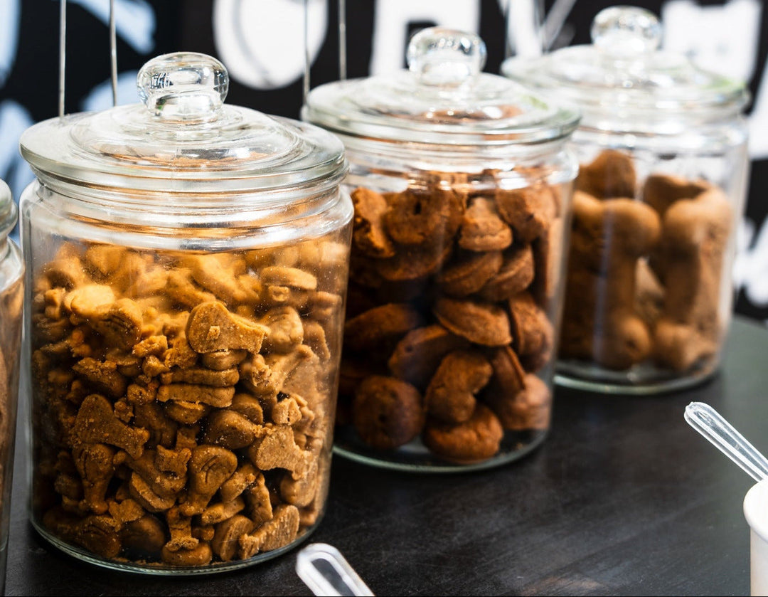 Three glass jars filled with dog treats on a black surface, with price tags above them at bark bark belmont shore