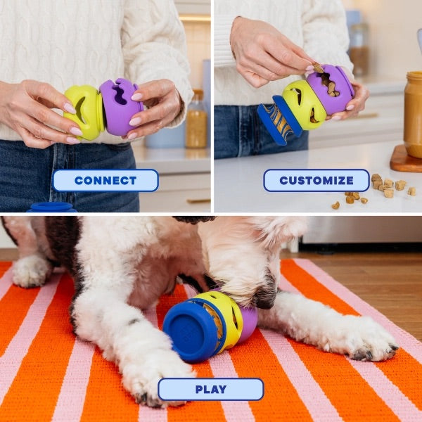 Wag Lab PlayStack The Squiggle