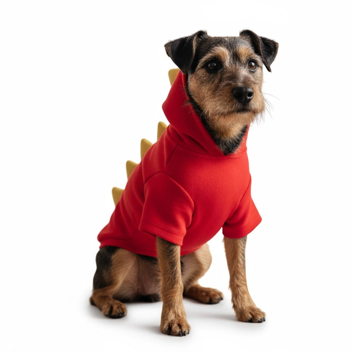 Dog wearing a red hoodie with dinosaur spikes on a white background