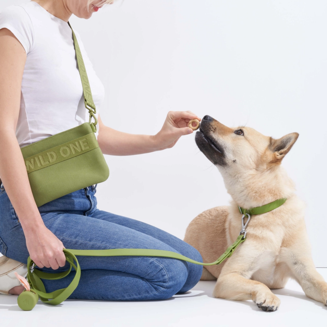 Water Resistant Dog Leash