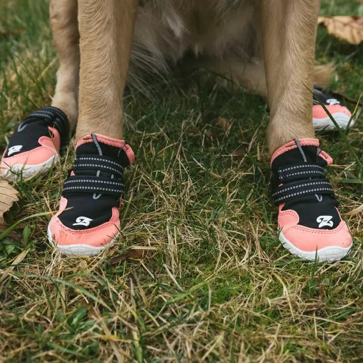 Dog wearing pink and black boots to walk on grass