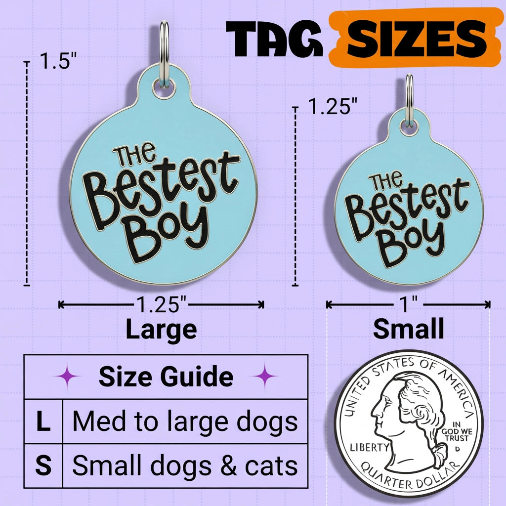 Pet tag with 'The Bestest Boy' text, size guide, and quarter for scale on a purple background