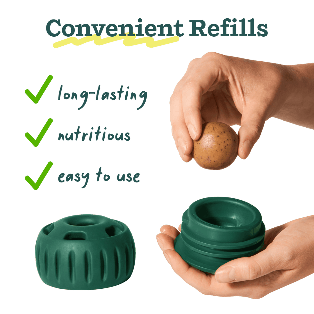 Green refills with a hand holding a brown object, labeled as convenient refills for pets.