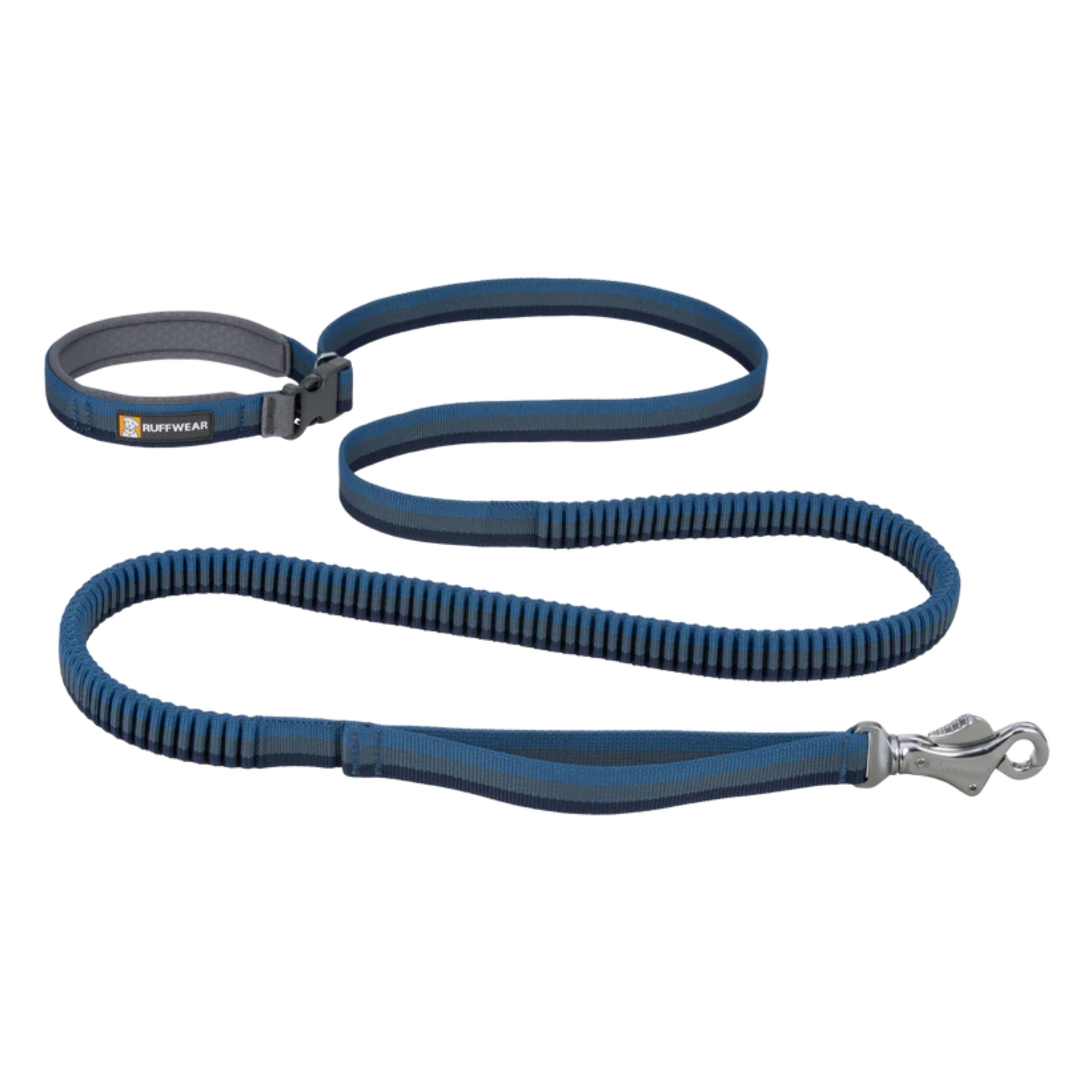 blue leash