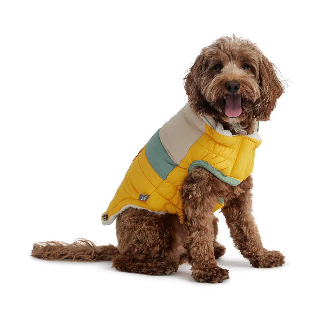 GF Campfire Puffer in Yellow, Large