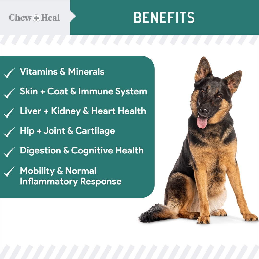 Chew + Heal Dog sitting next to a list of health benefits on a white background