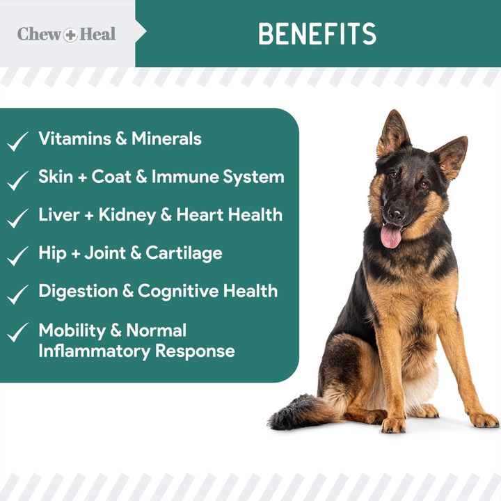Chew + Heal Dog sitting next to a list of health benefits on a white background
