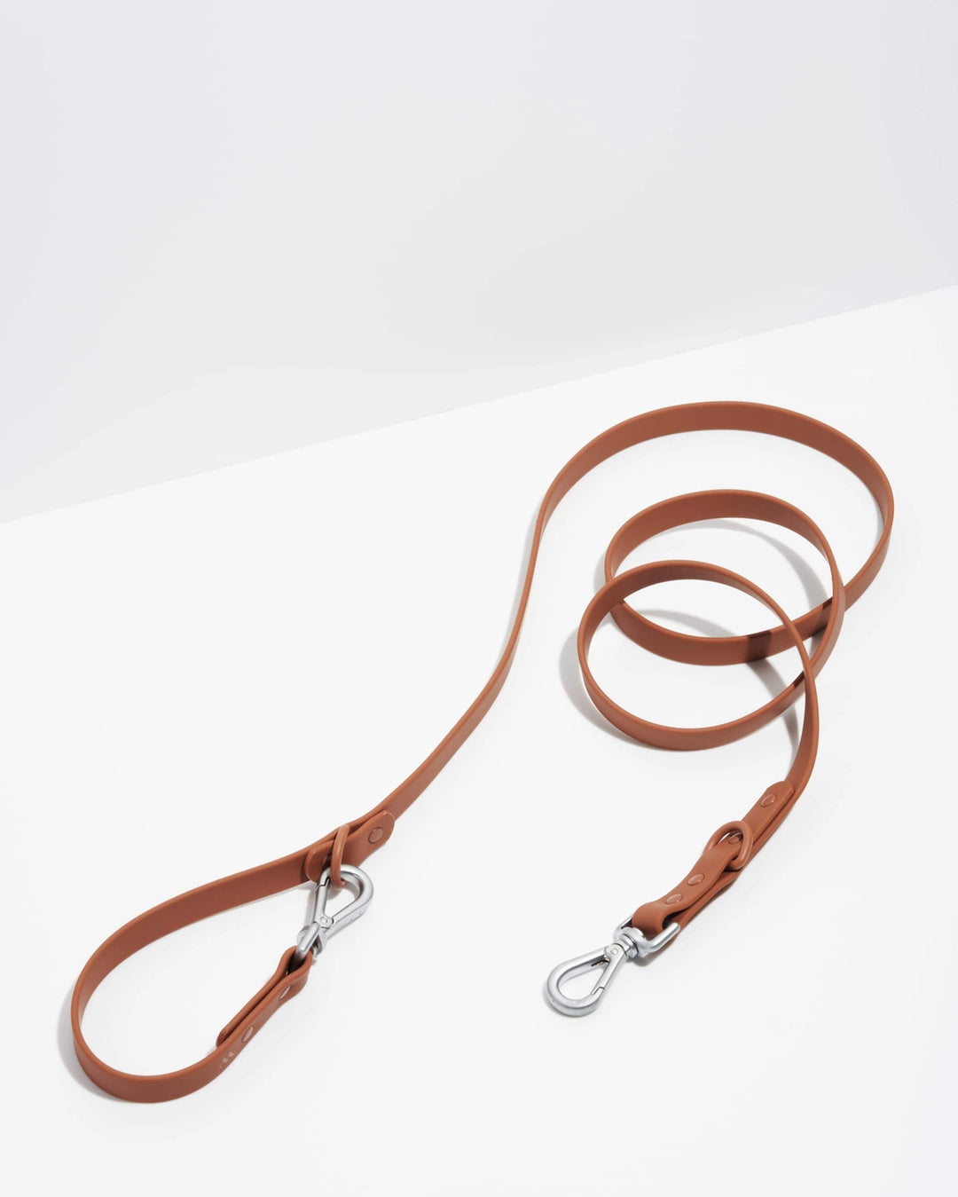 Brown leather dog leash with metal clips on a white background