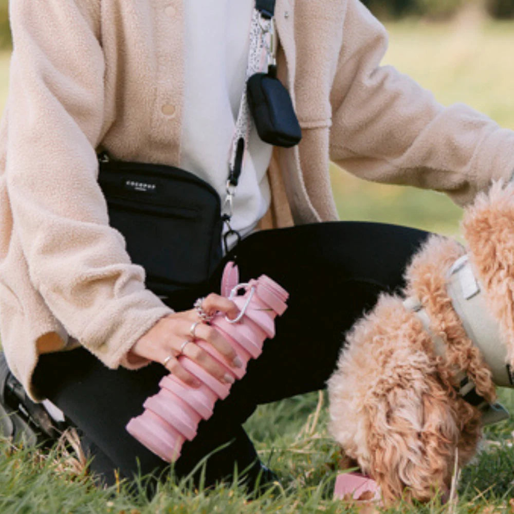 Person holding a pink dog toy with a dog in the grass
