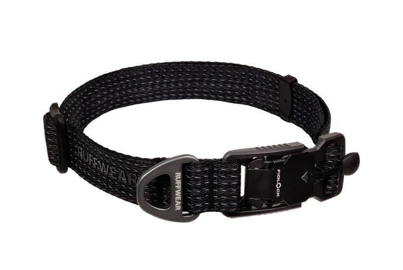 Black dog collar with a buckle on a white background