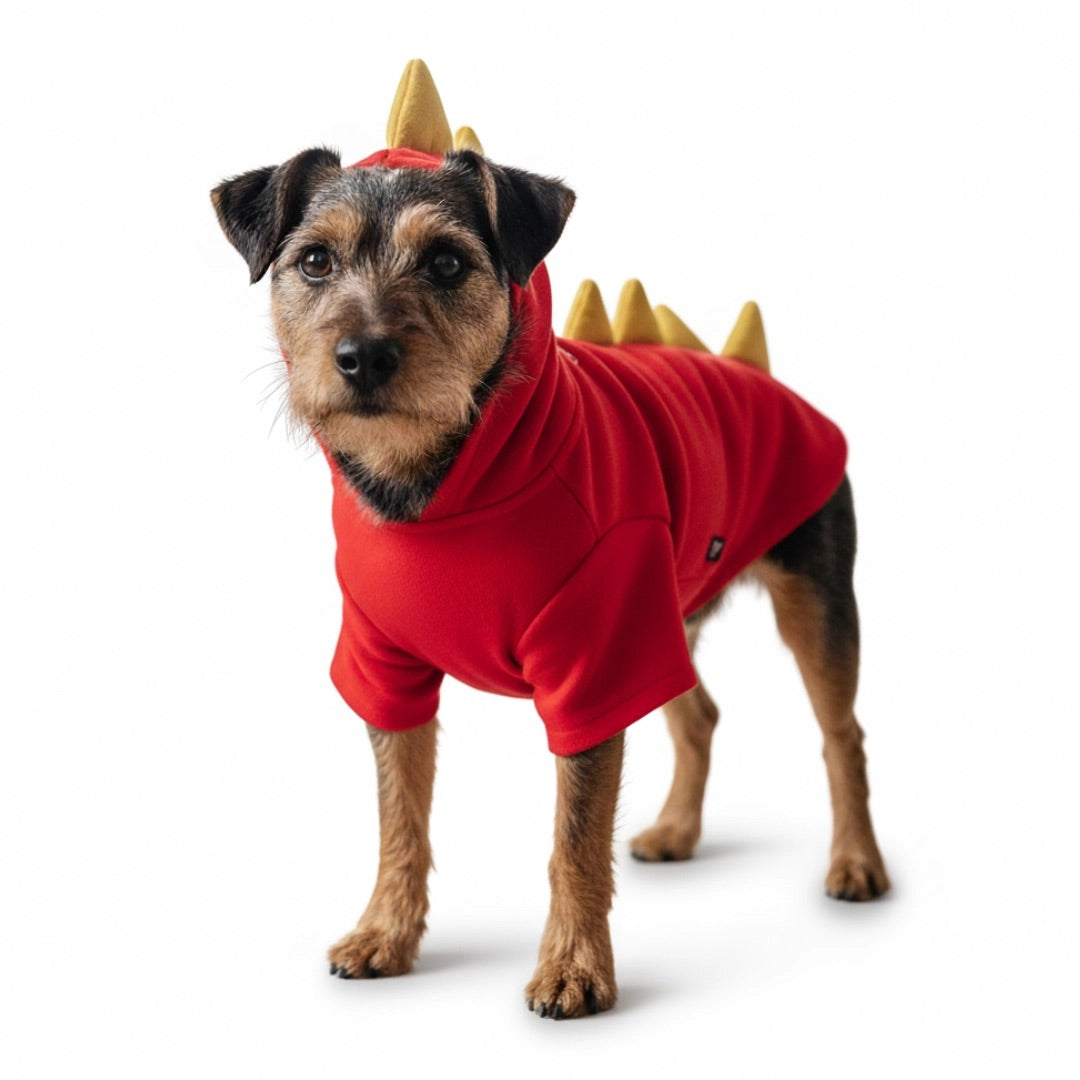 A small dog wearing a red hooded dinosaur costume with yellow spikes on the back, photographed against a clean white studio background.