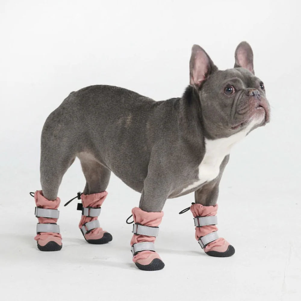 Dog wearing pink and gray protective flex shell boots on a white background