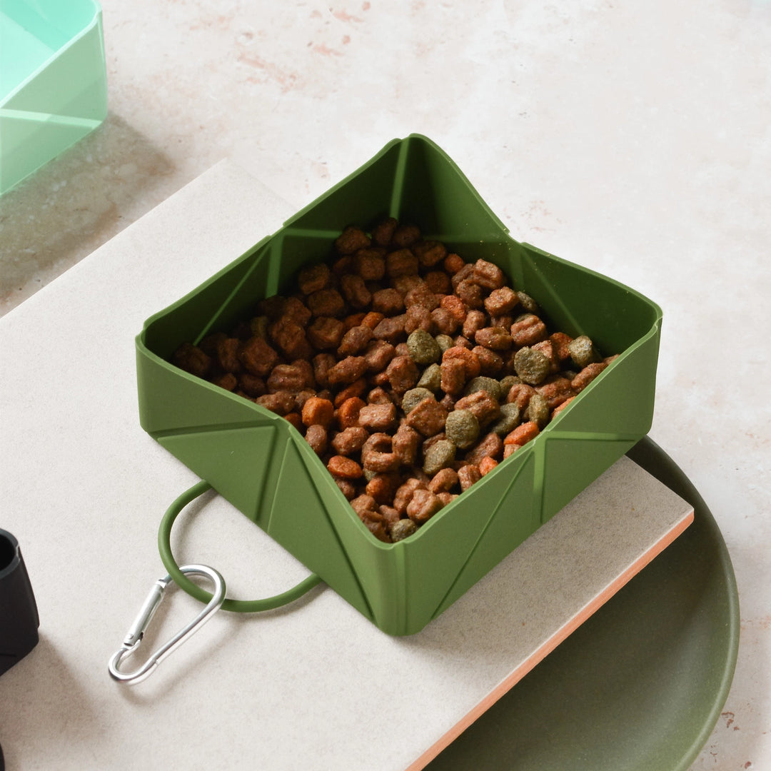 Green portable pet food container filled with dog treats on a light surface