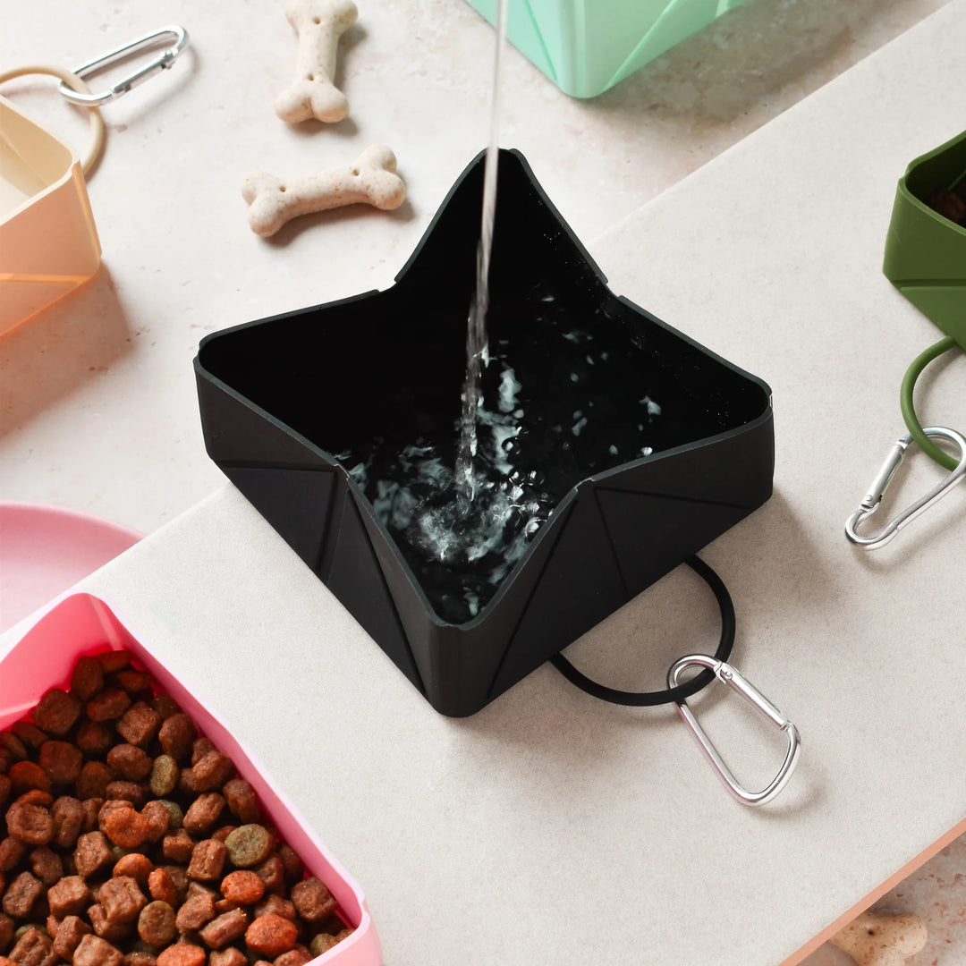 Black star-shaped pet water bowl with water being poured into it, surrounded by pet toys and food on a light surface.