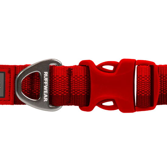 Red dog collar with a silver buckle on a white background