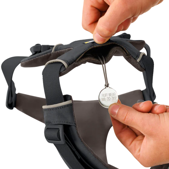 Side view gray dog harness