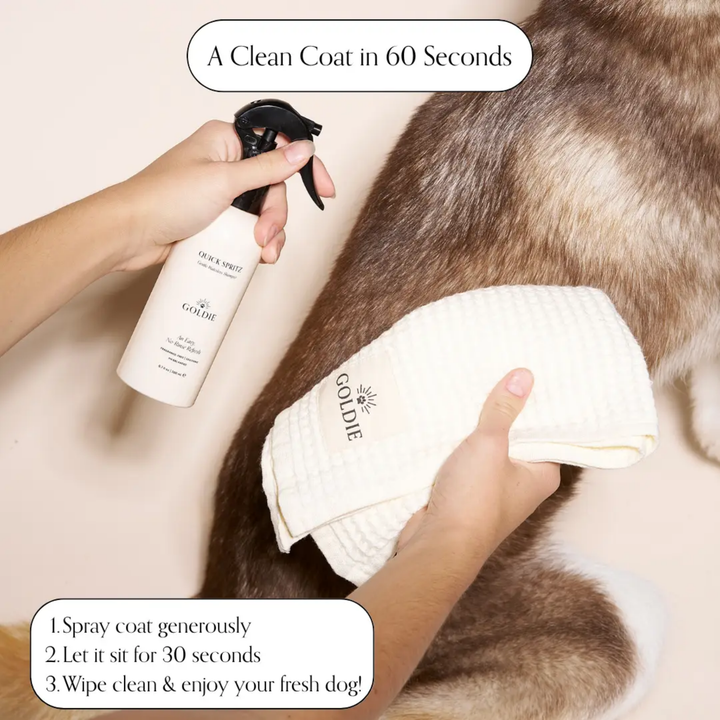 Person using a Goldie pet grooming product on a dog, with text indicating a quick cleaning process.