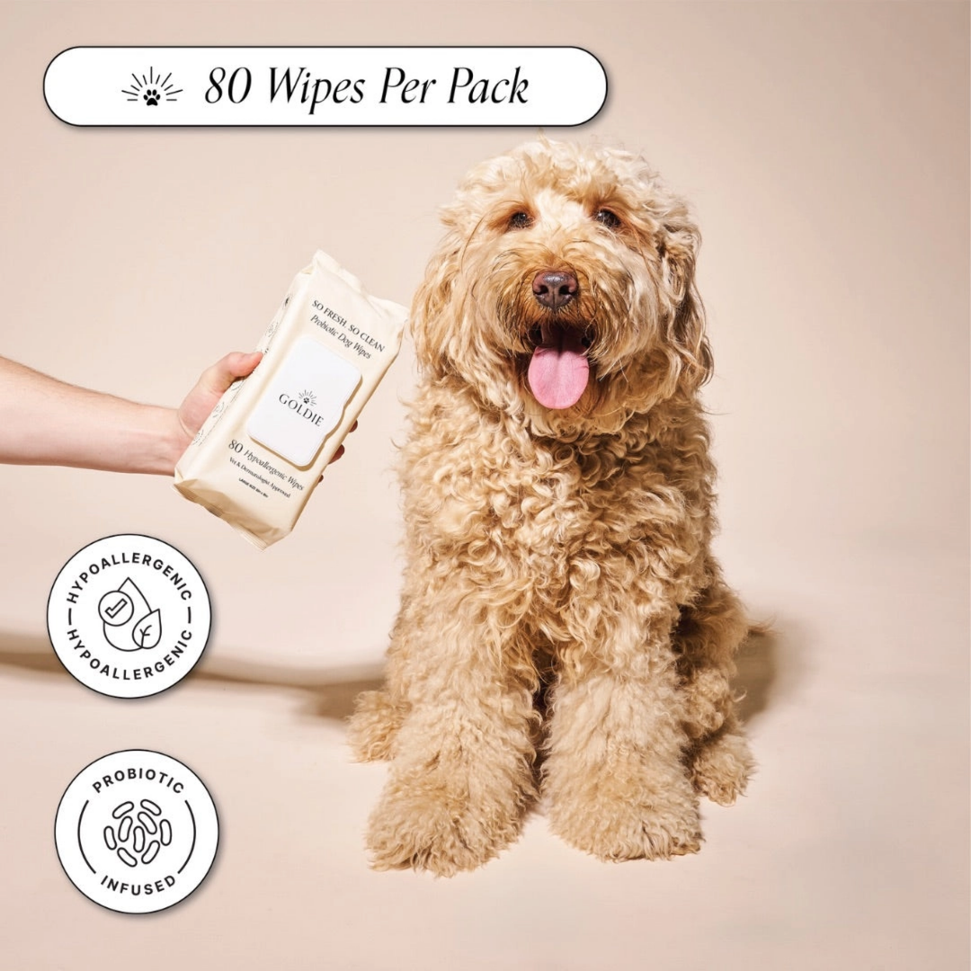 Dog with a package of pet wipes and 'Goldies' branding on a beige background