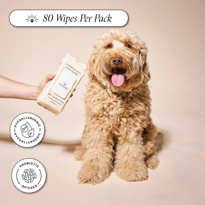 Dog with a package of pet wipes and 'Goldies' branding on a beige background
