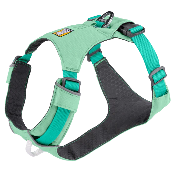 Green and black dog harness on a white background