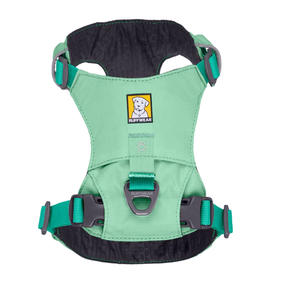 Green dog harness with brand logo on a white background