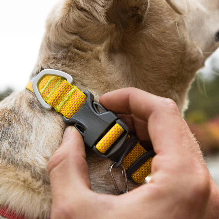 Hi Light Ruffwear dog collars