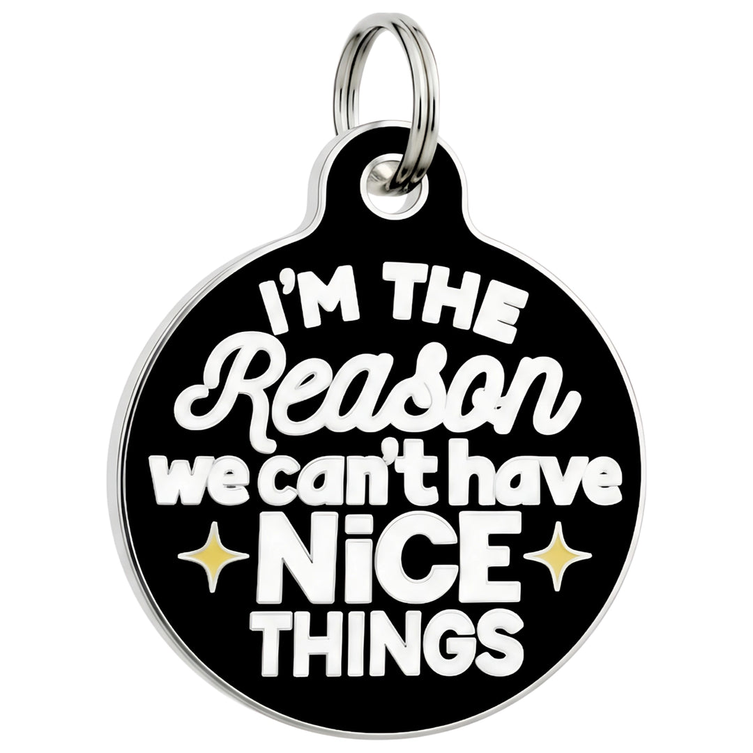 I'm the Reason We Can't Have Nice Things Enamel Dog ID Tag