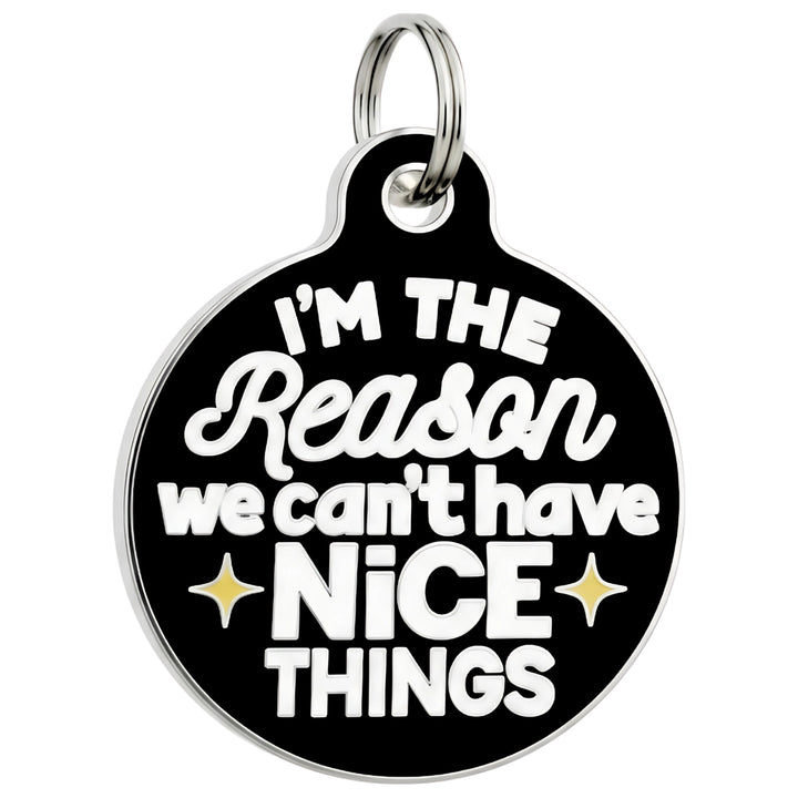 I'm the Reason We Can't Have Nice Things Enamel Dog ID Tag
