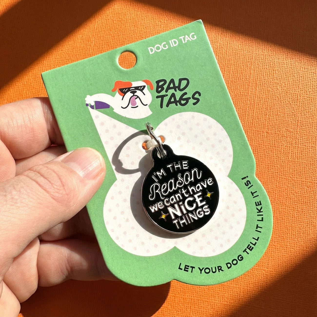 Dog ID tag with humorous message on a green card held by a hand against an orange background