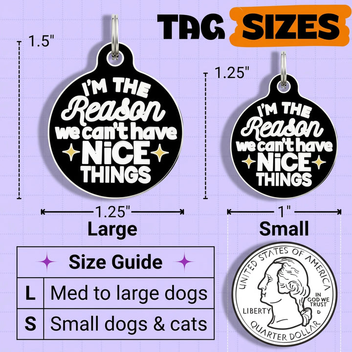 Two black pet tags with white text and measurements on a purple background