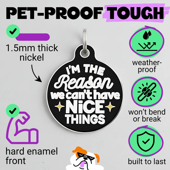Pet tag with 'I'm the reason we can't have nice things' text on a gray background with feature icons.