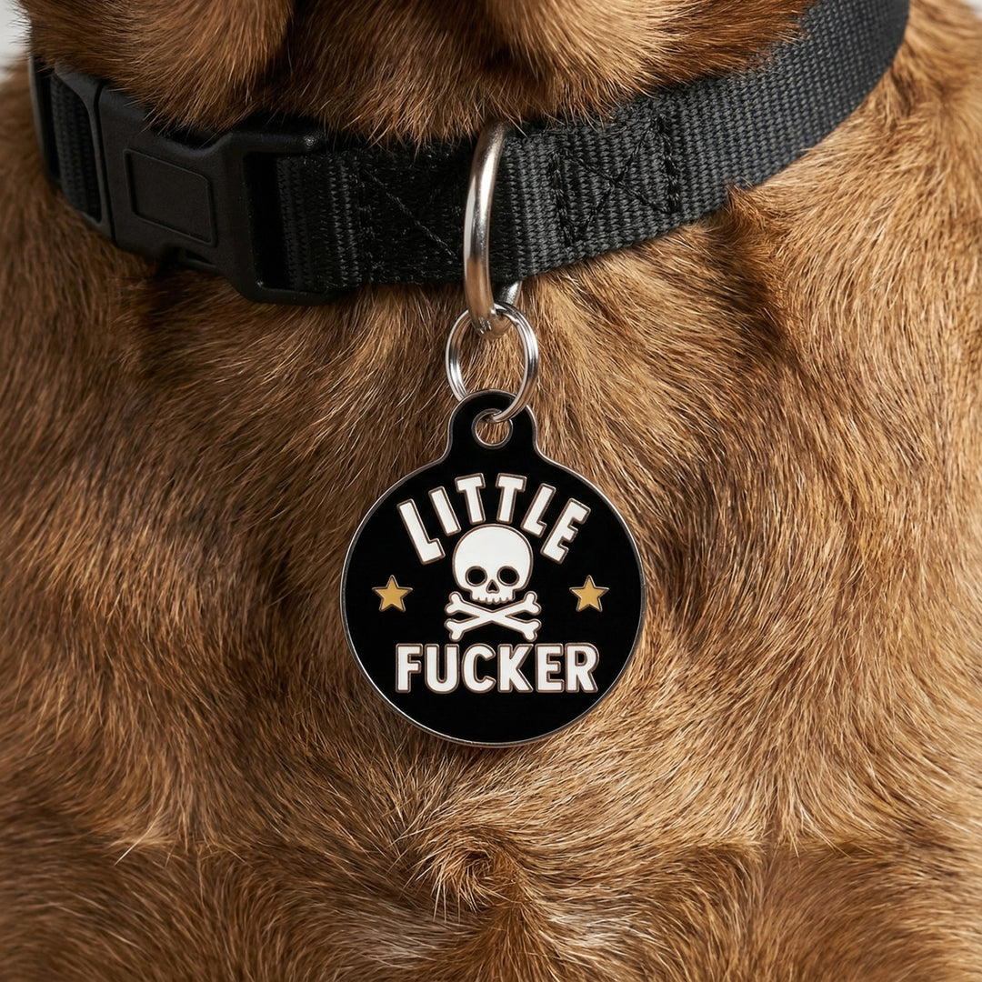 Dog collar with a black tag featuring a skull and crossbones design on a brown fur background.