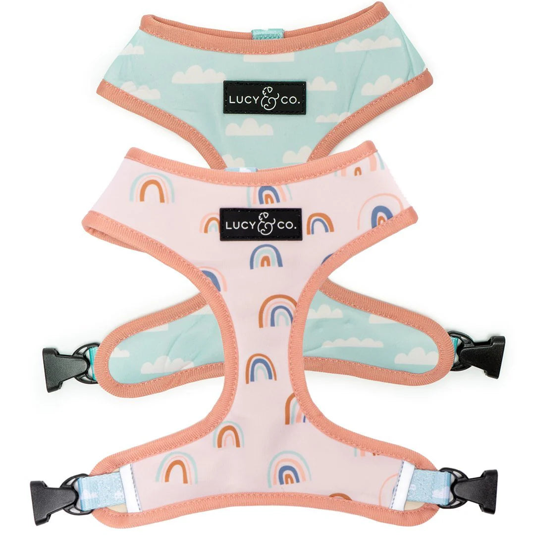 Two dog harnesses with cloud and rainbow patterns on a white background, branded 'Lucy & Co'.