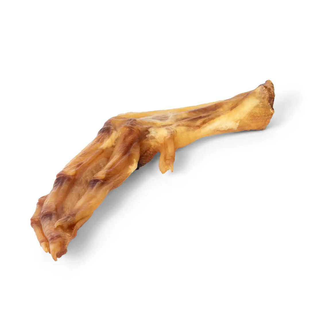 Dog duck feet treat on a white background