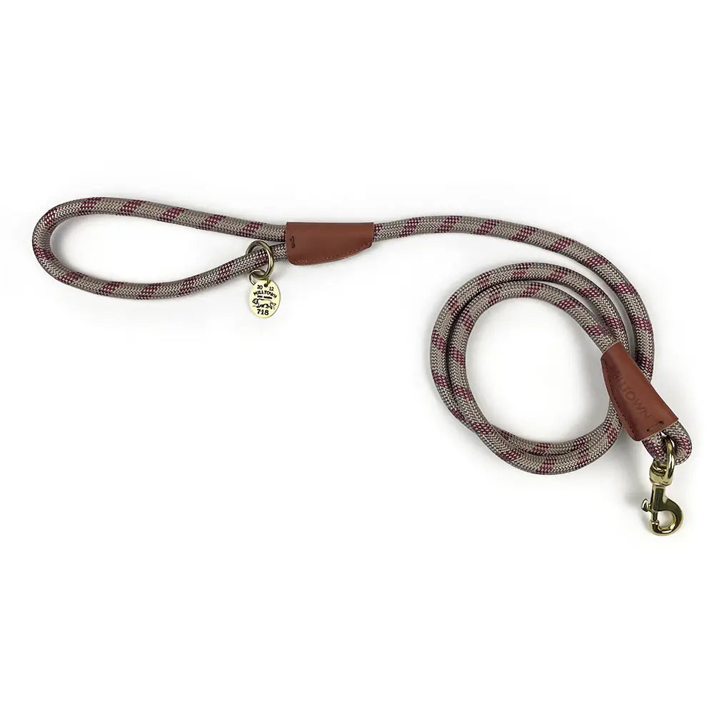 Dog leash with brown handle and metal clip on a white background