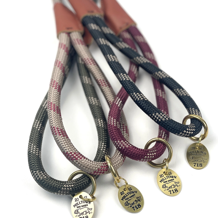 Set of three braided dog leashes with gold tags on a white background