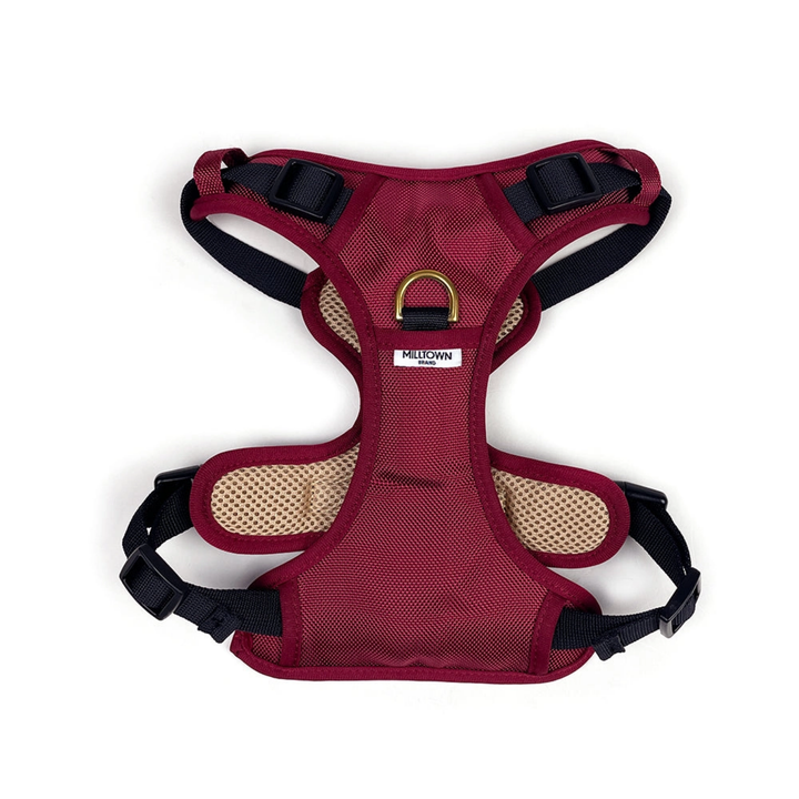 Maroon dog harness with black straps on a white background