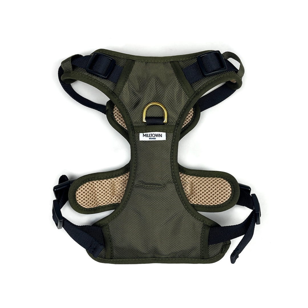 Green dog harness with mesh padding on a white background
