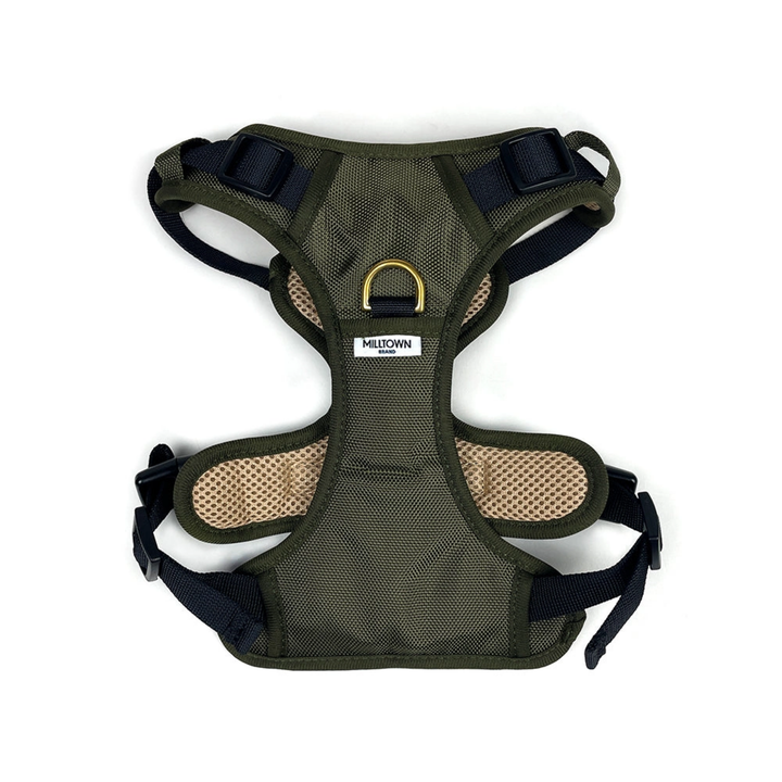 Green dog harness with mesh padding on a white background