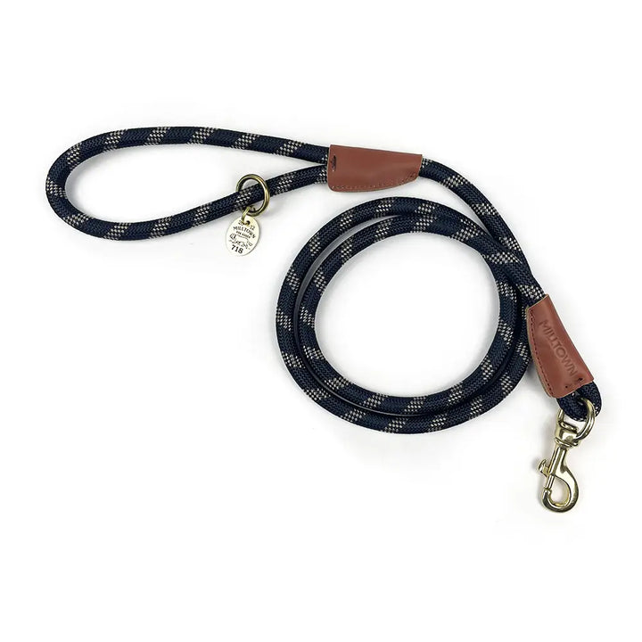 Black dog leash with brown leather ends and brass hardware on a white background
