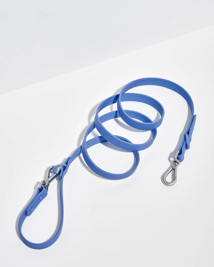 Blue dog leash with metal clip on a white background