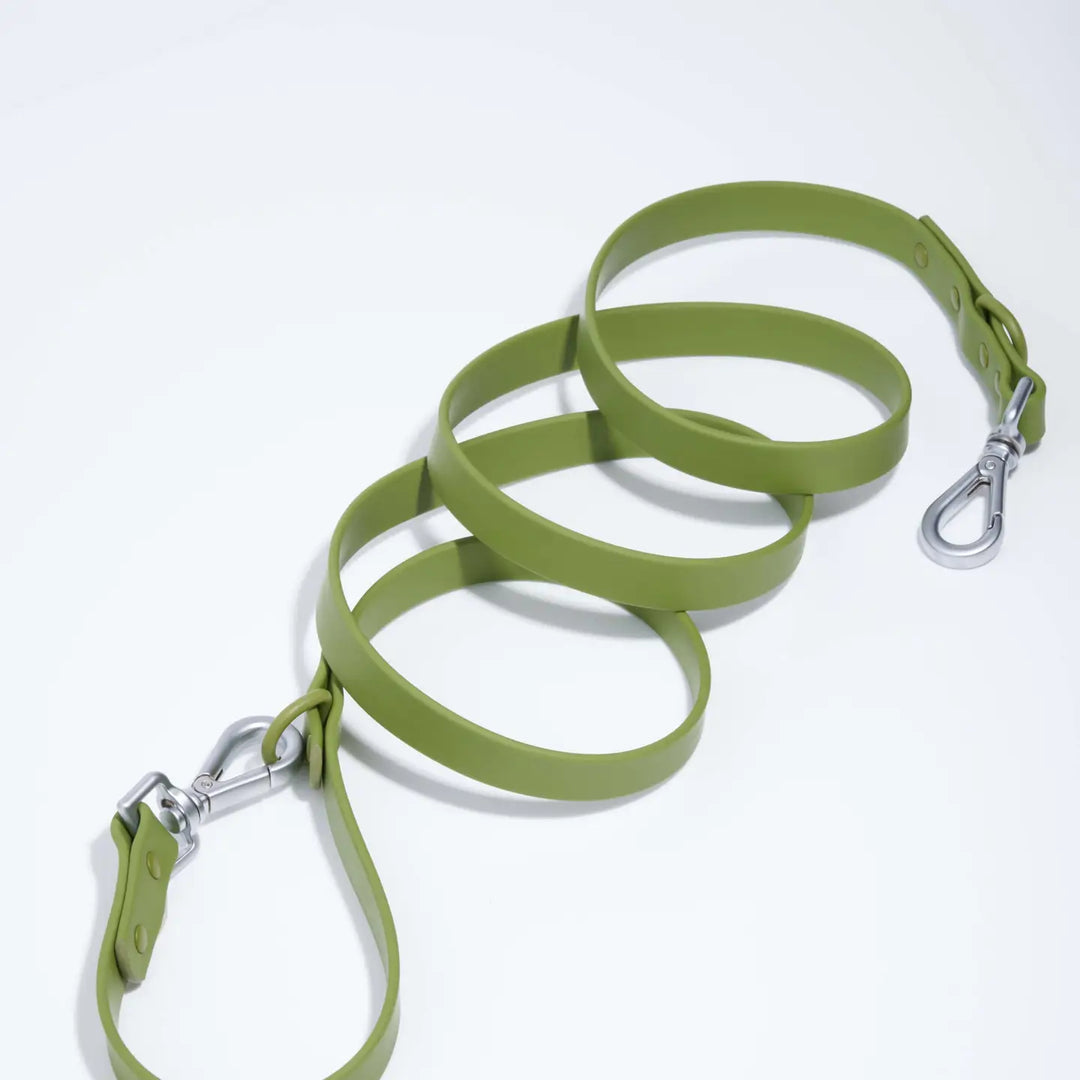 Green dog leash with metal clip on a white background