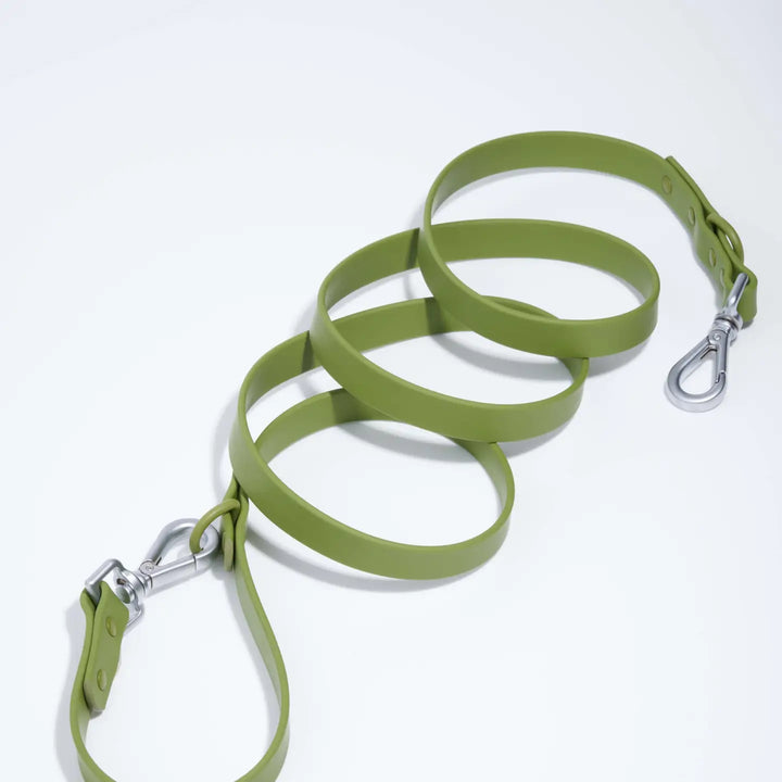 Green dog leash with metal clip on a white background