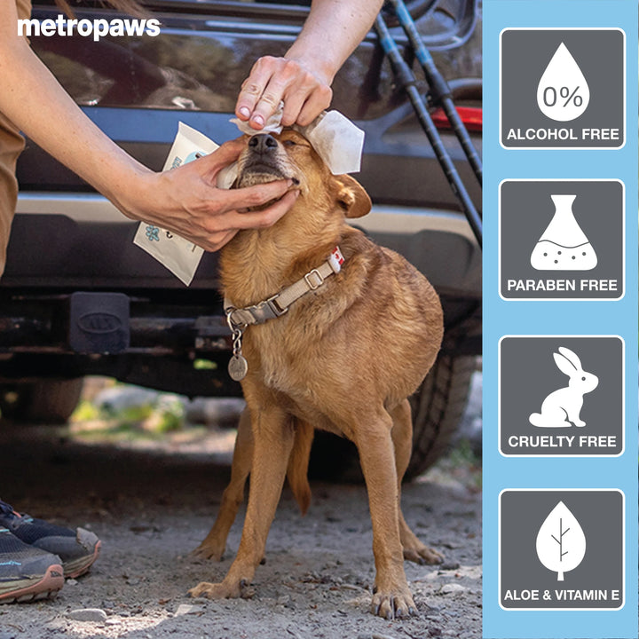 Dog being given a product by a person with a car and tools in the background, featuring Metropaws branding and product benefits.