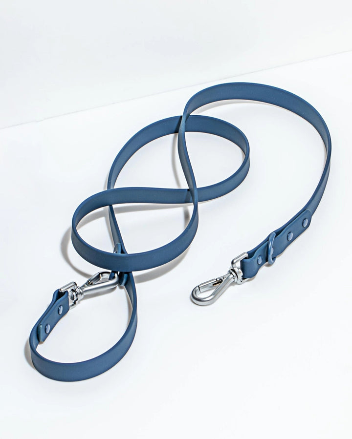 Blue dog leash with metal clip on a white background