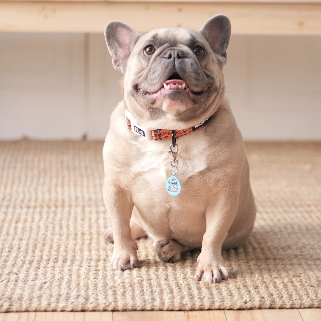 French bulldog sitting on a woven mat with a wooden floor in the background