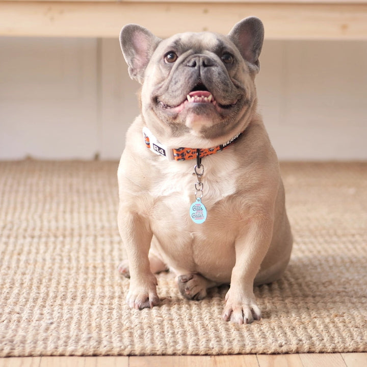 French bulldog sitting on a woven mat with a wooden floor in the background