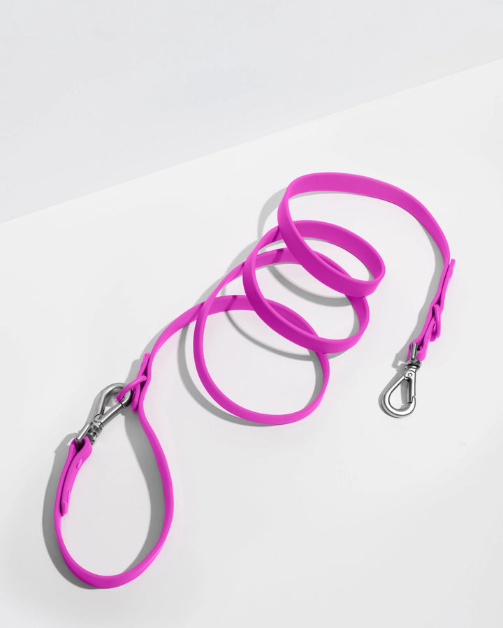 Pink dog leash with a metal clip on a white background