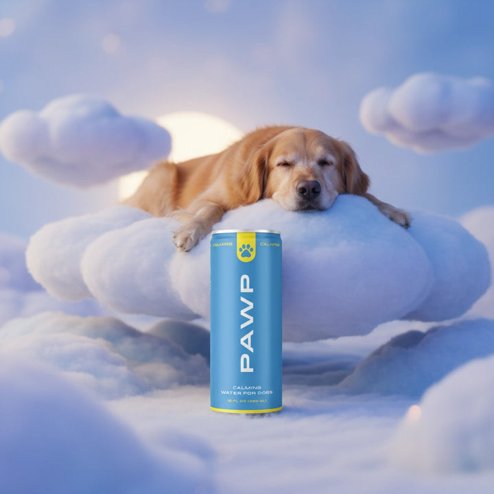 Dog lying on clouds with a PAWP product can in front